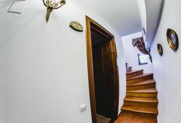 Фото номера Шале Гостевой дом Cabana Dintre Vii г. Apoldu de Sus 52